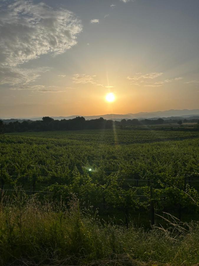 Cruna Di Subida Wine Country House Cormòns Exteriör bild