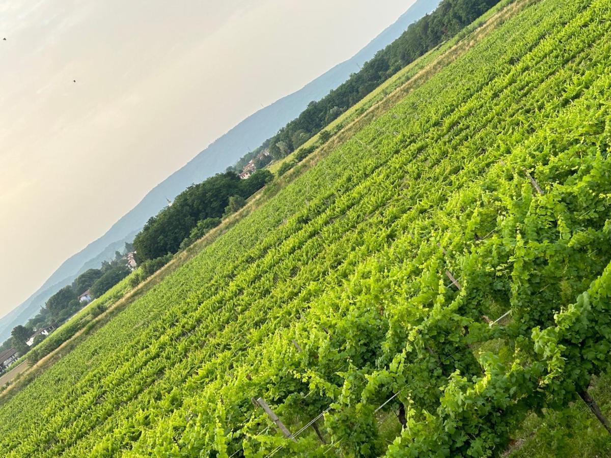Cruna Di Subida Wine Country House Cormòns Exteriör bild